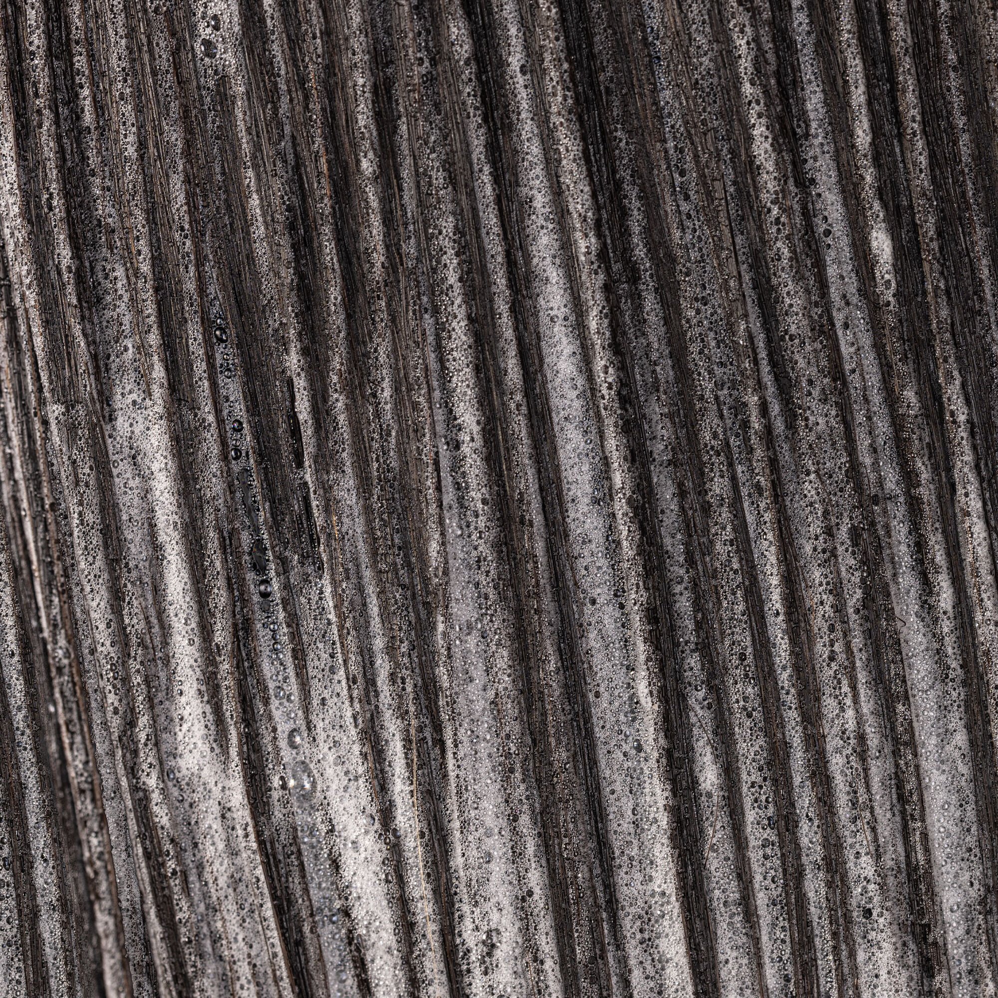 Nanoworks Gold Shampoo and Conditioner Duo