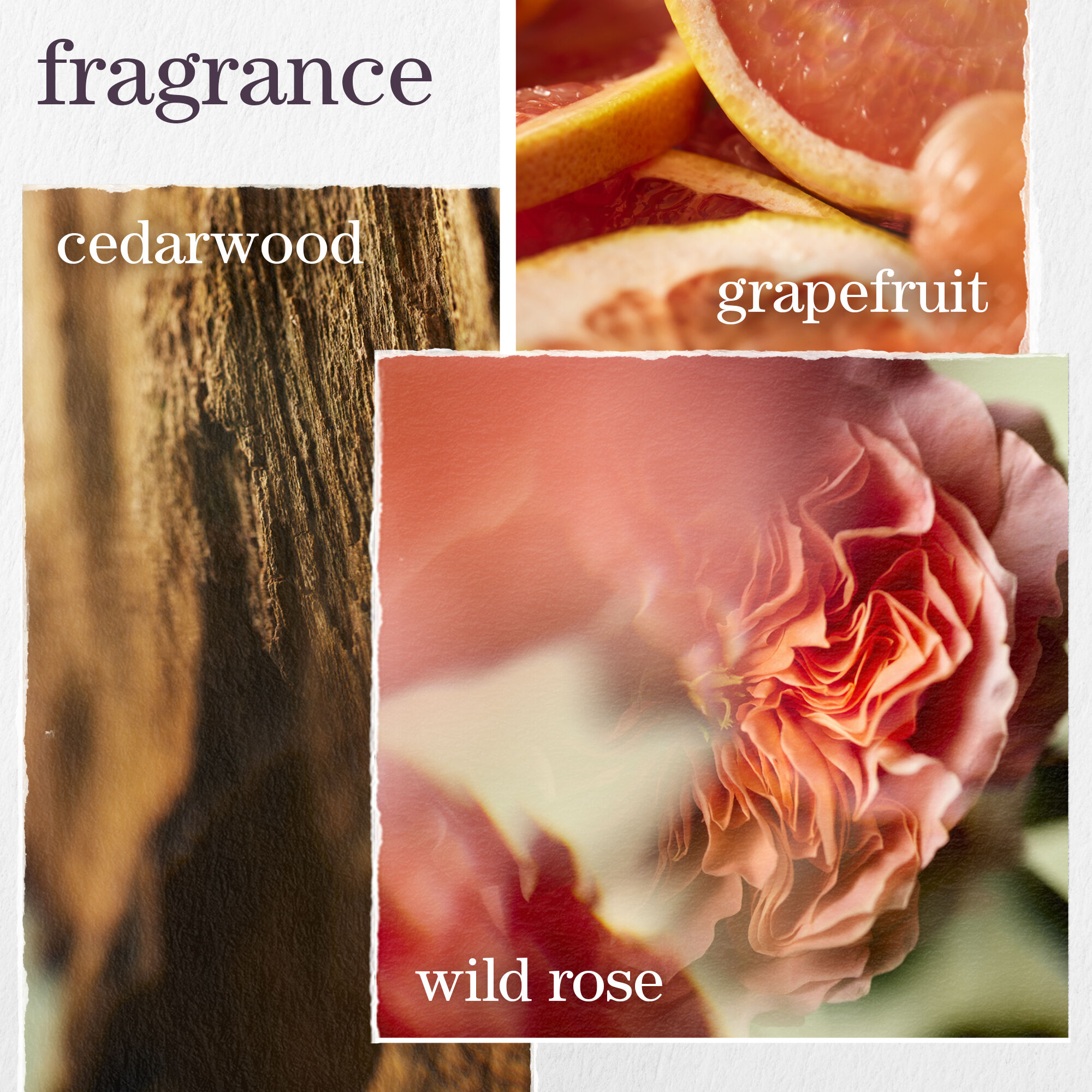 Set ligero y voluminizador para el cuidado del cabello Pure Volume