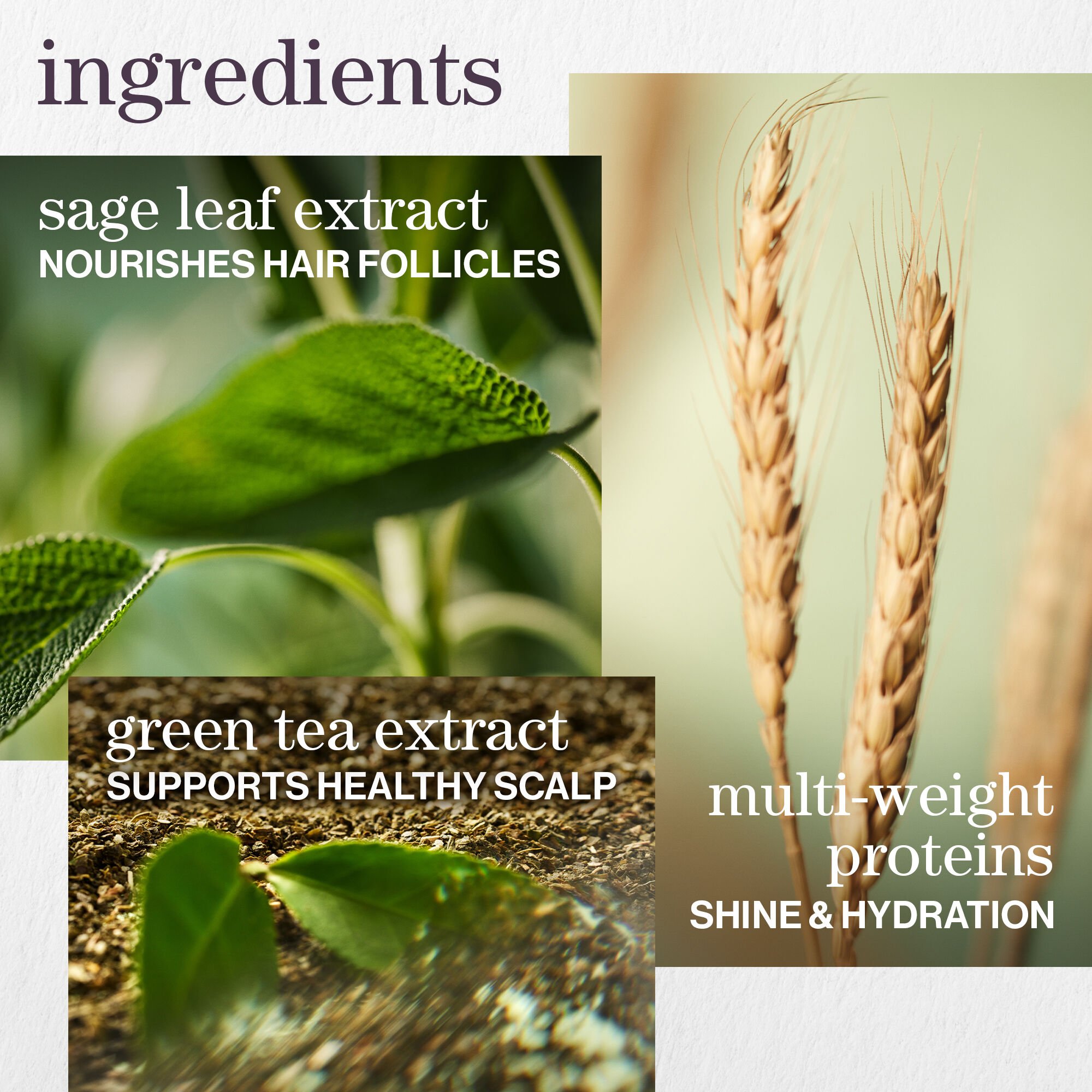 Hydrate Shampoo & Conditioner: Sulfate-Free Set for Deep Hydration