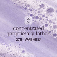 Duo de champu y acondicionador Hydrate Sheer