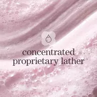 Pure Volume Shampoo