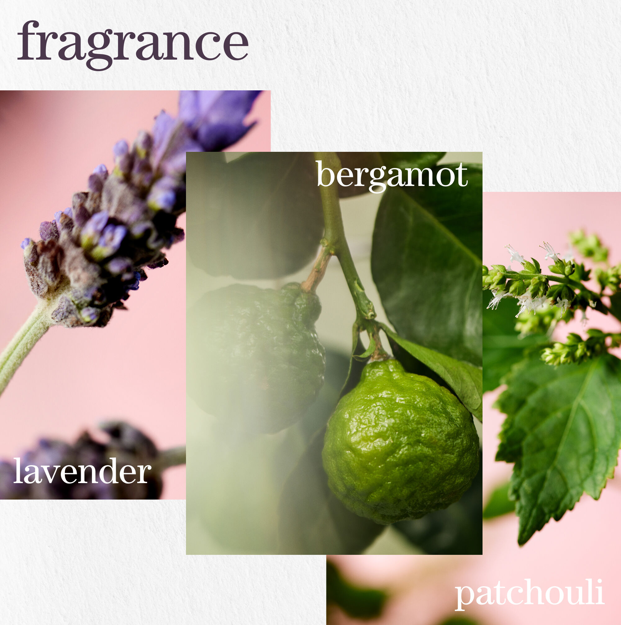 Hydrate Hair Treatment Mask