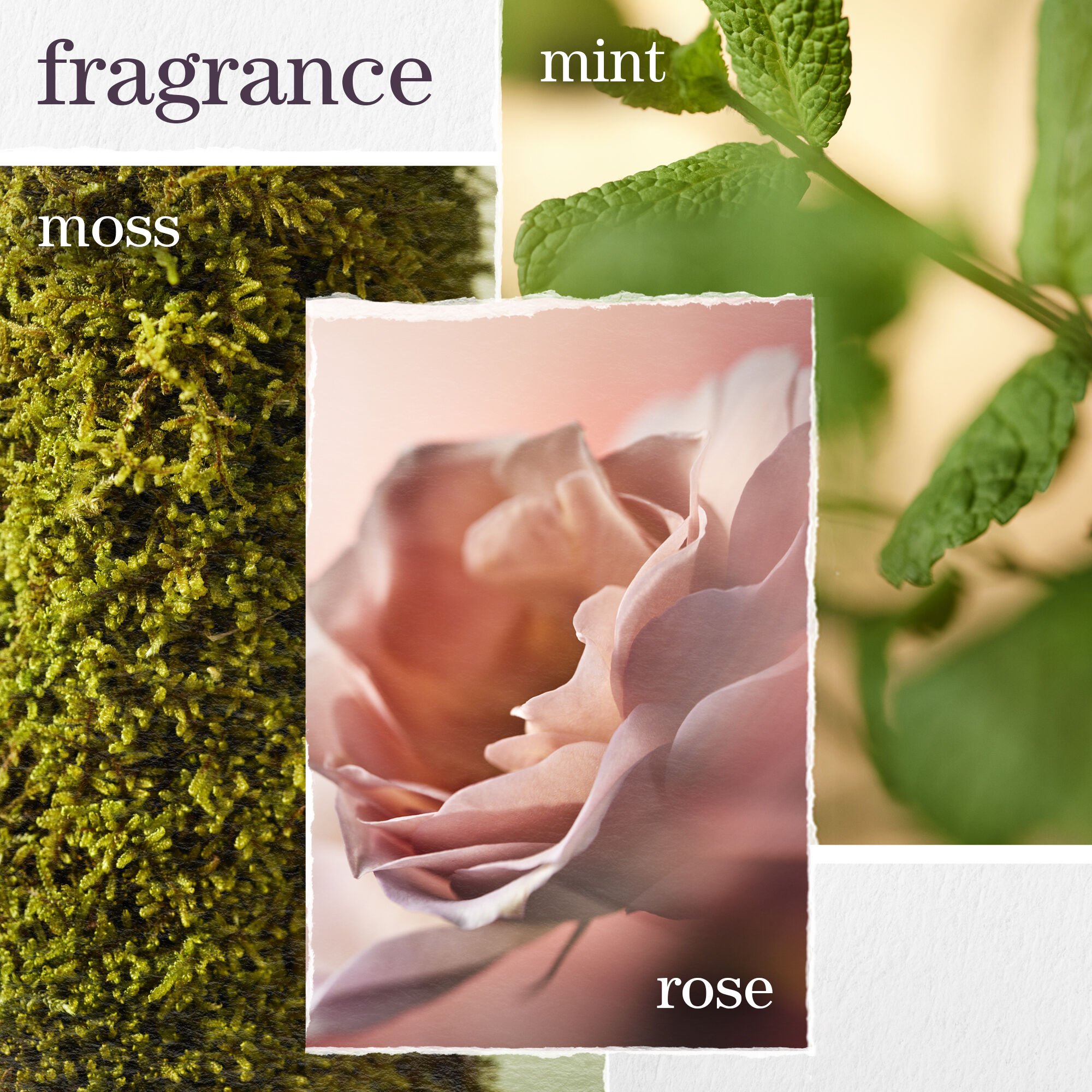 Hydrate Shampoo & Conditioner: Sulfate-Free Set for Deep Hydration