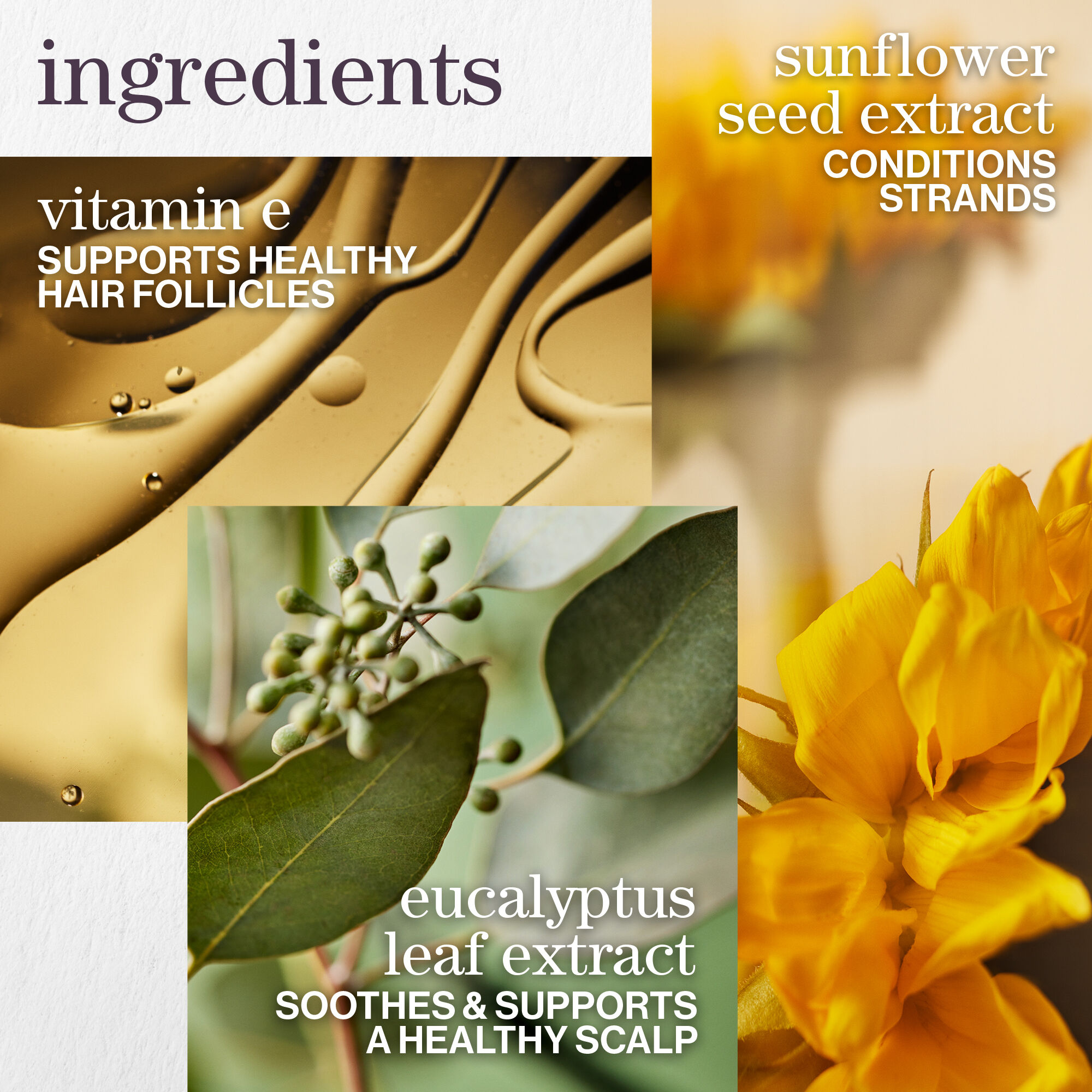 Set ligero y voluminizador para el cuidado del cabello Pure Volume