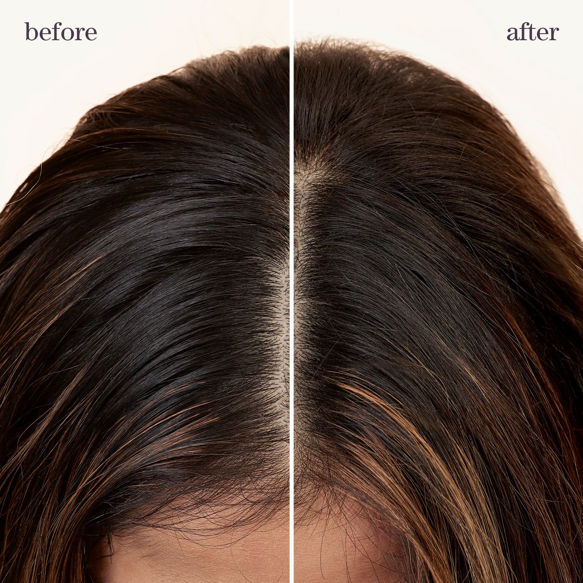 Style + Protect Refresh & Go Dry Shampoo