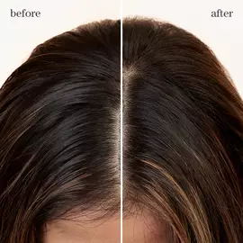 Style + Protect Refresh & Go Dry Shampoo