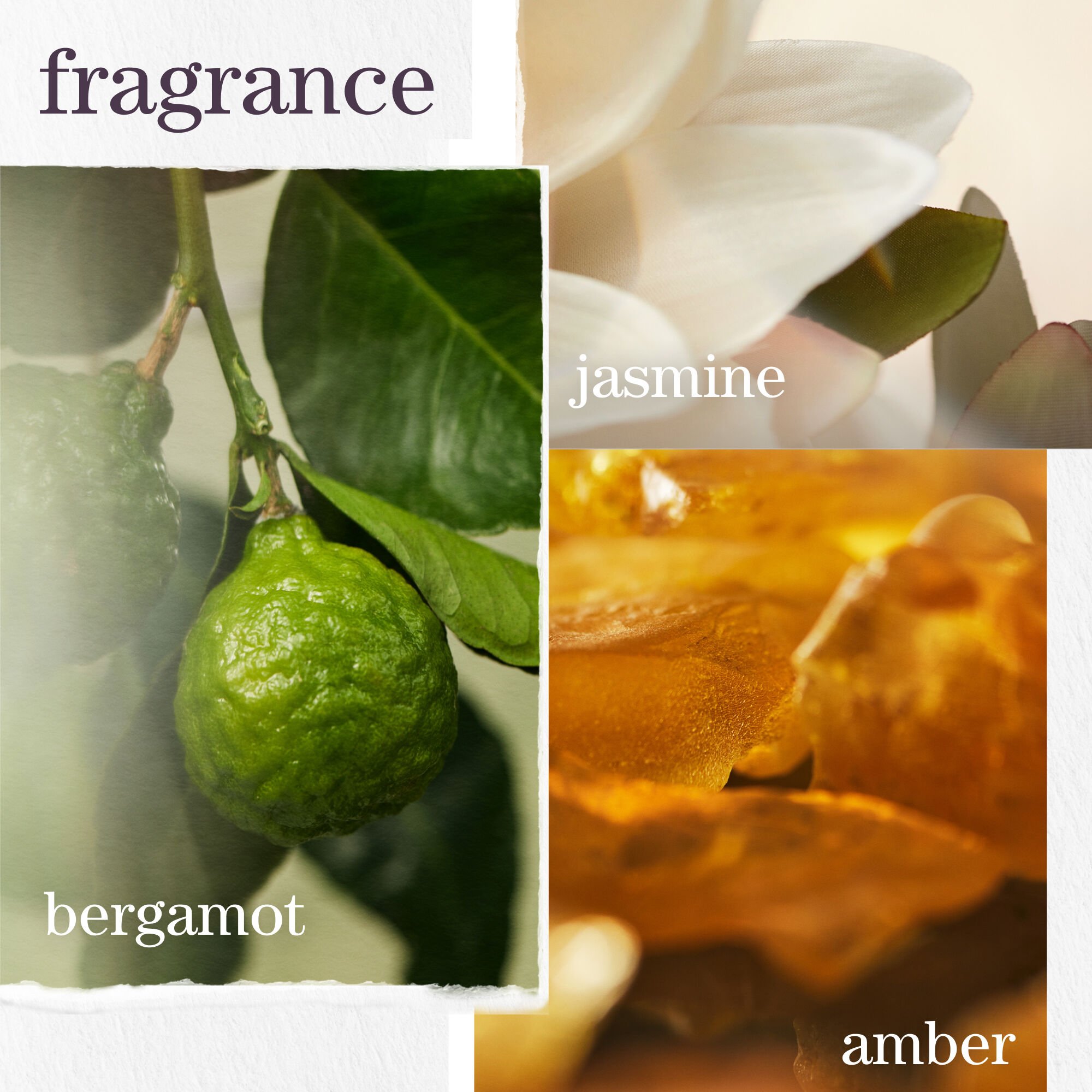 Suero sanador de suenos Strength Cure