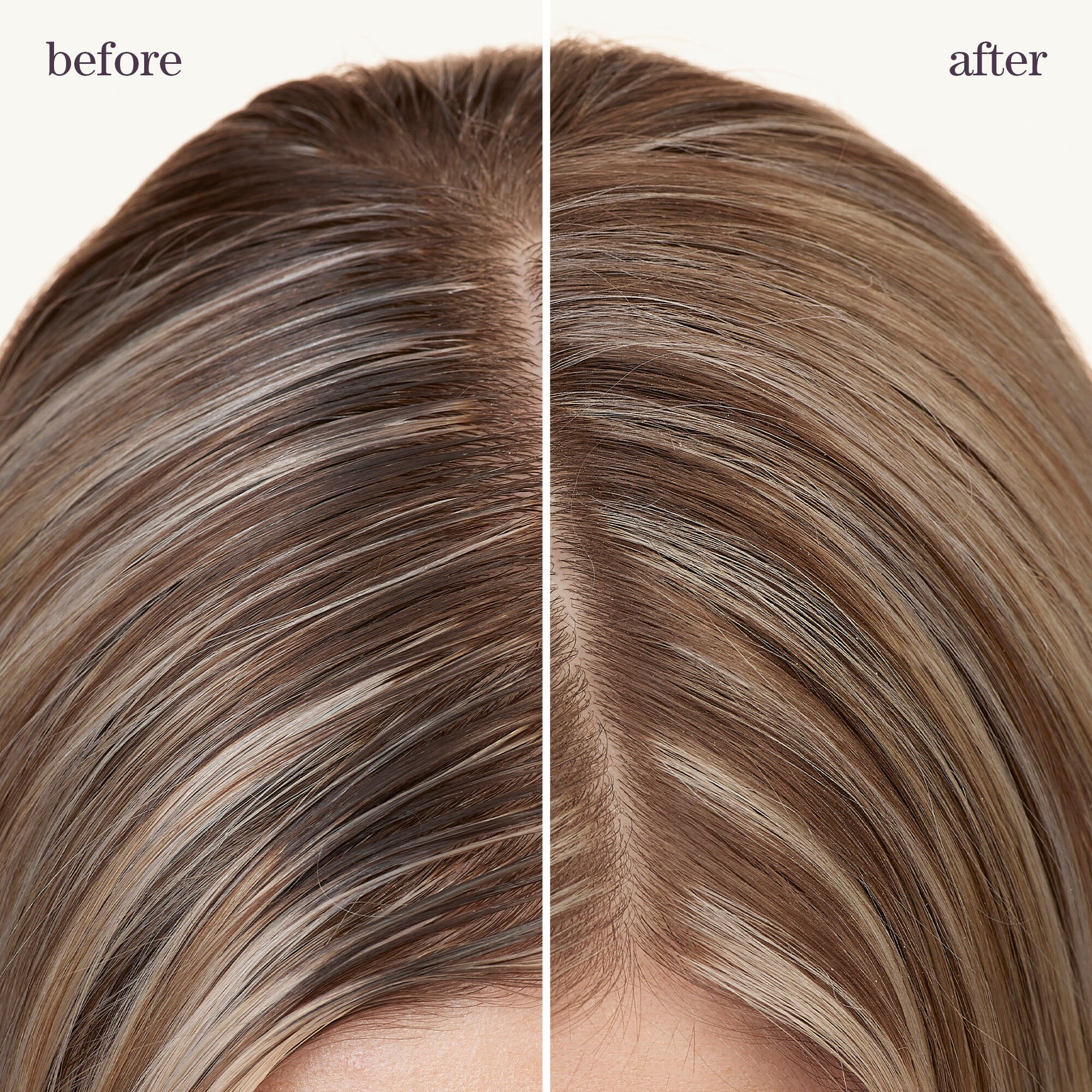 Style + Protect Refresh & Go Dry Shampoo