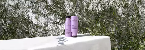 How to Hydrate Dry Hair: Common Myths vs. Facts