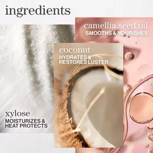 Key Ingredients & Technology