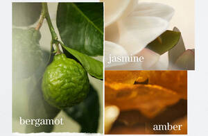 Strength Cure Shampoo