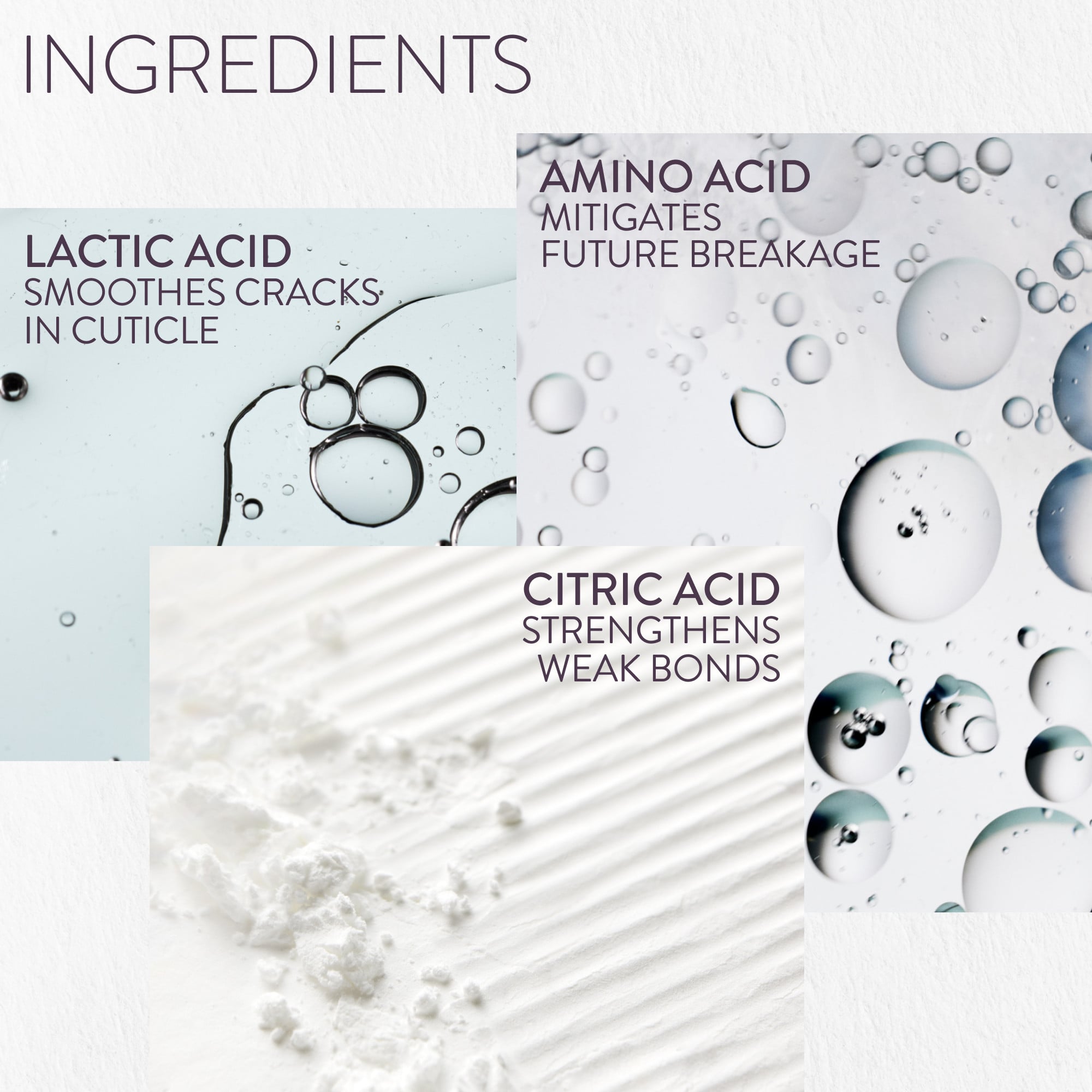Pureology Strength Cure shampoo and conditioner ingredients showcasing plant extracts for hair repair