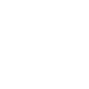 SMS OFFERS & UPDATES