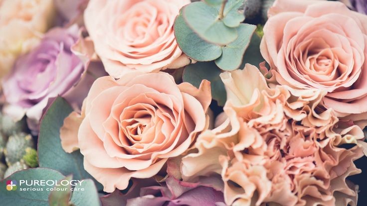 flower wall background